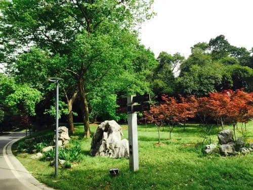 武汉梨园风景区