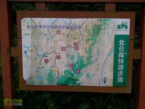 孝子岭古道——依山茅洋寺森林步道