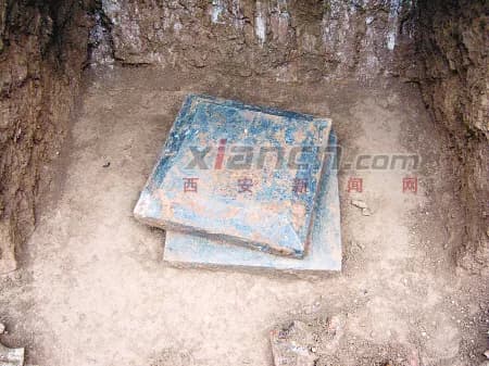 林诞禹夫妇墓