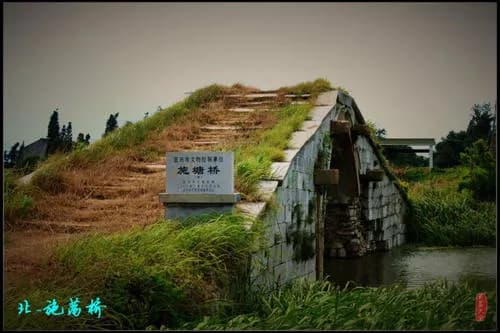 施荡桥