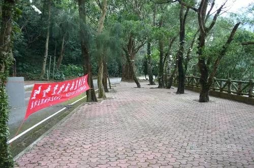 双流森林游乐区