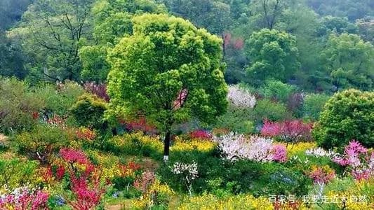 无锡吼山森林公园