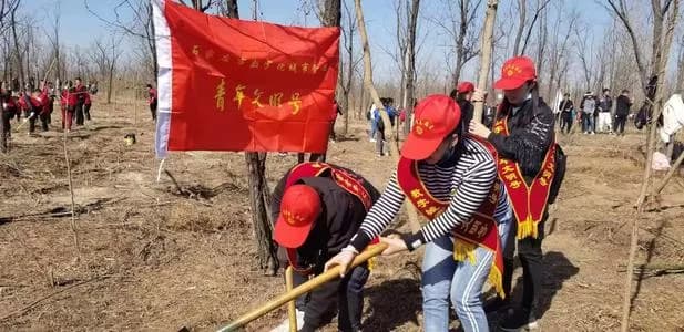 鹿泉小壁林场