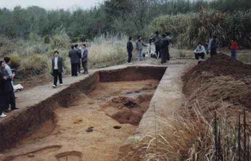 陈家岗遗址