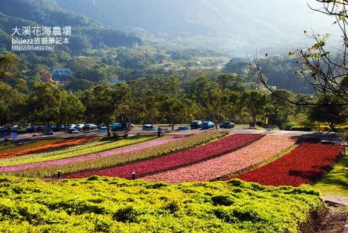大溪花海农场