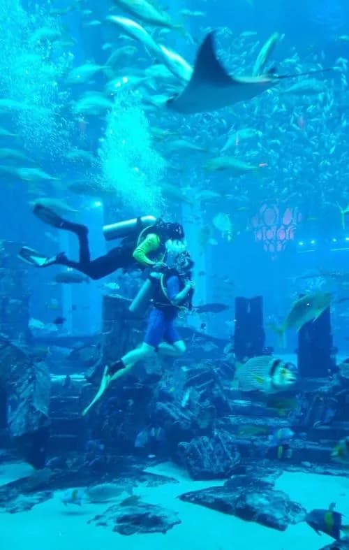 亚特兰蒂斯海豚湾