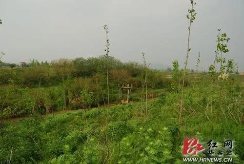 车轱山遗址
