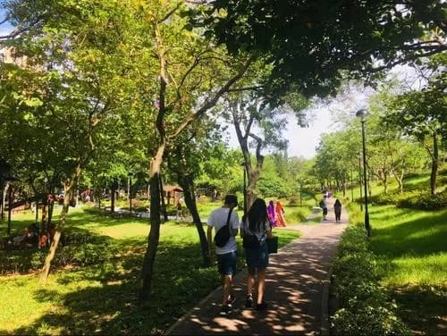 香港荔枝角公园