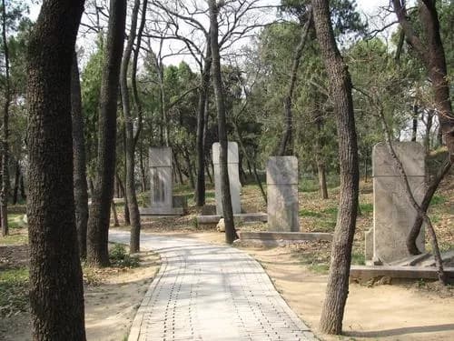 王玉泉家族墓地