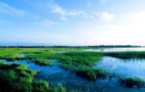 湖北长寿岛国家湿地公园