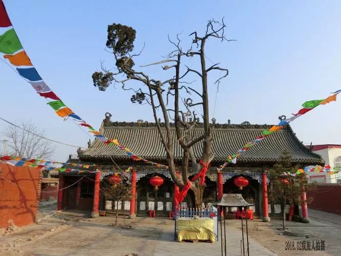 植佛寺