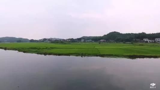 新墙河国家湿地公园