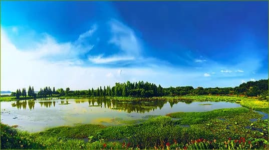 金银湖湿地公园