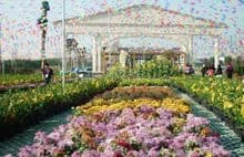 北方花卉园区