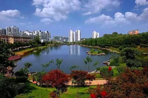 麓谷公园