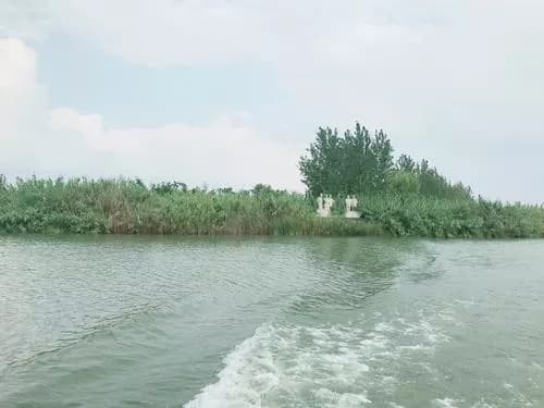 好美寮湿地
