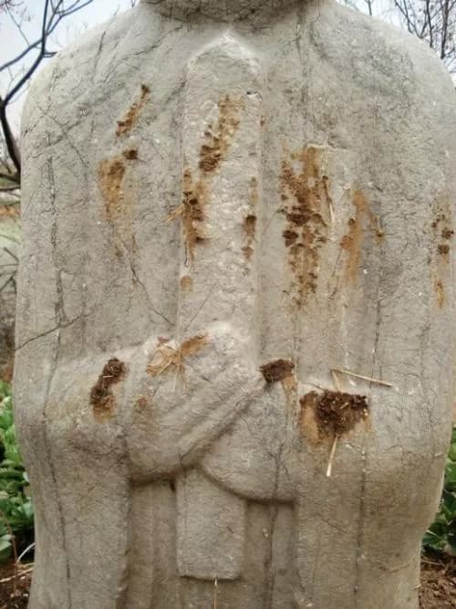 板仓失考墓石刻