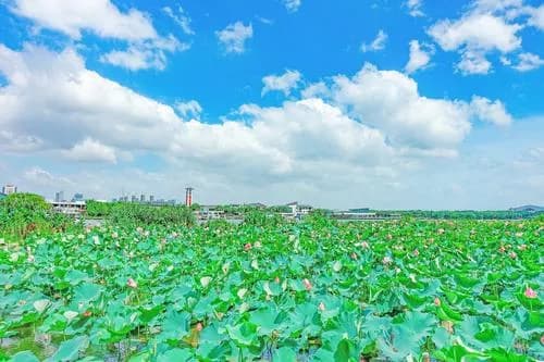 管社山庄