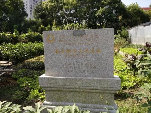 船墩古文化遗址