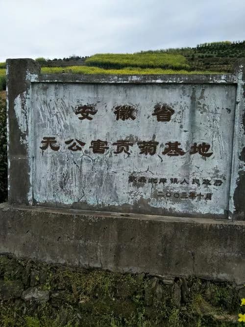 金竹岭遗址