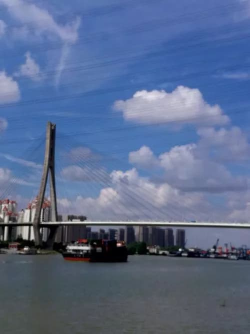 中沙大桥