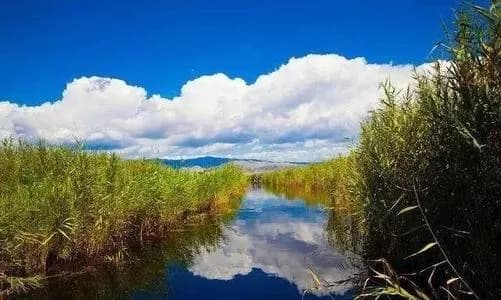 新疆哈密河国家湿地公园