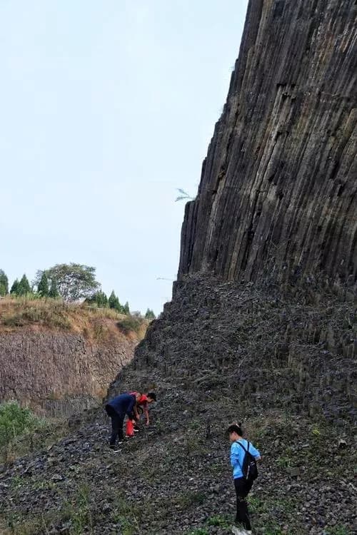 古火山次生林植物园