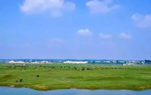 汨罗江国家湿地公园