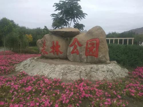 大武口森林公园