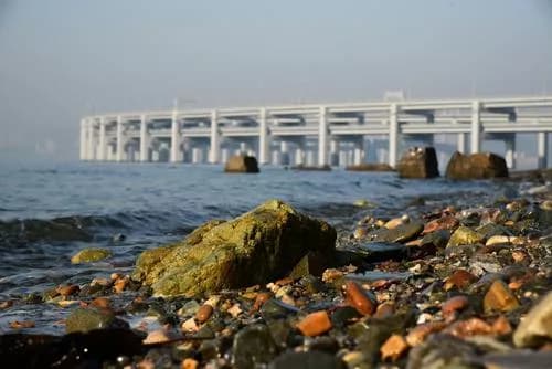 大连金沙坪