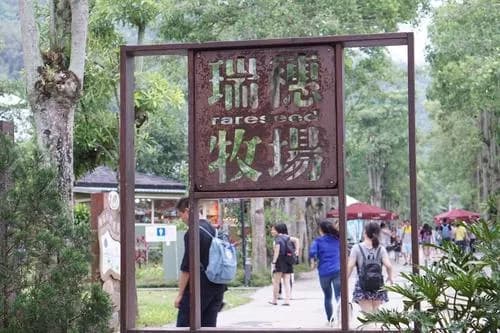 瑞穗牧场