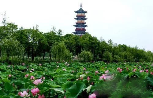 象湖公园