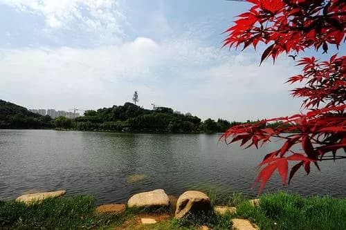 长沙湖