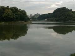 碧湖公园