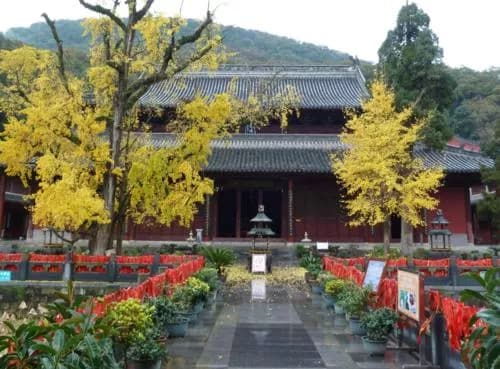 张拔玉泉寺