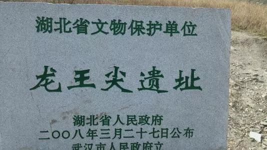 龙王尖遗址