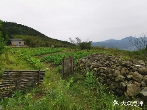 横溪观音岭古道