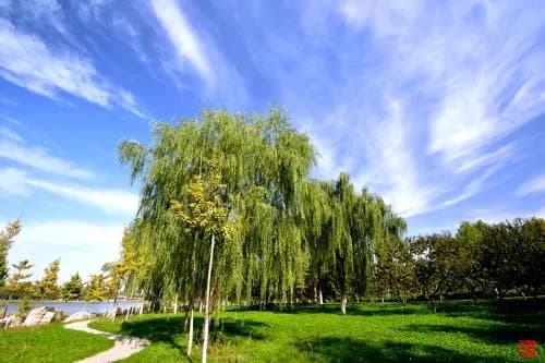 石家庄秀水公园