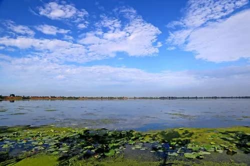 枝江东湖
