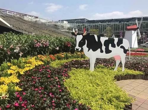 台北花市