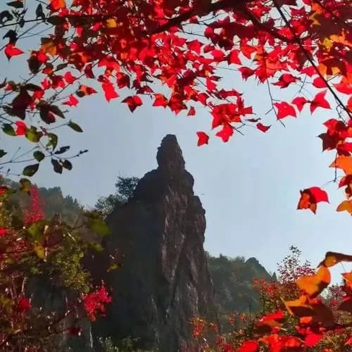 香山松涛