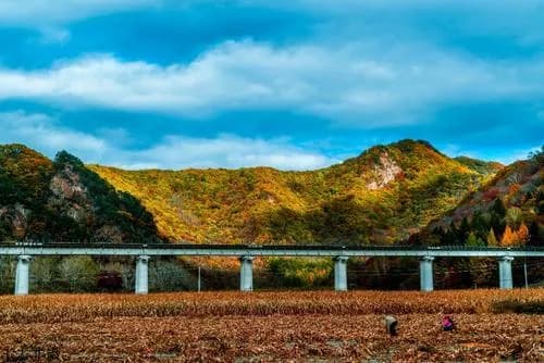 大地森林公园