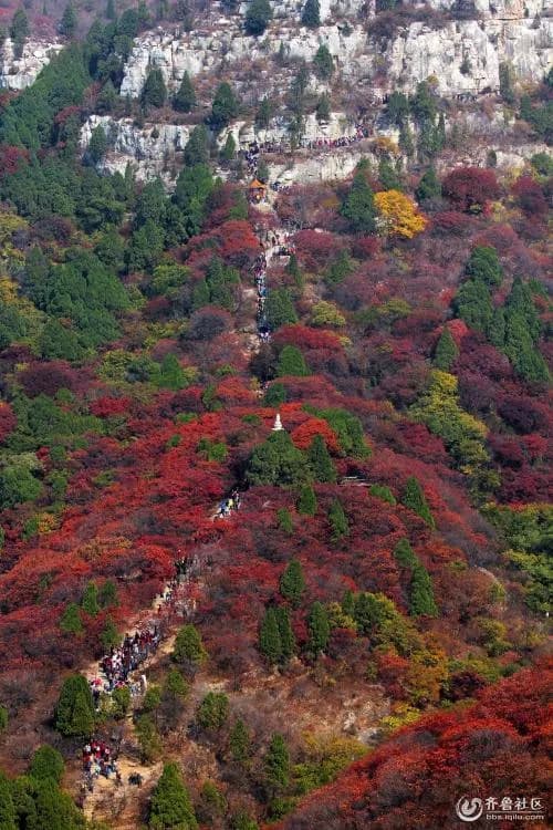 韶李石门坊