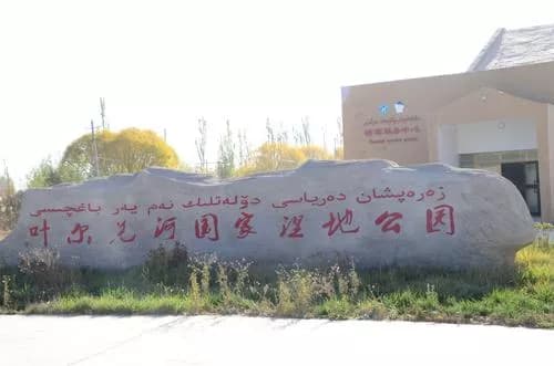 叶尔羌河国家湿地公园