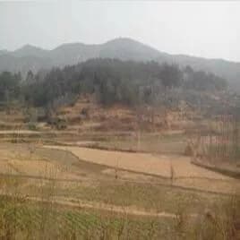 余家湾墓