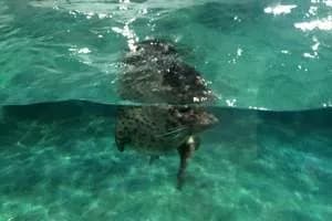 石家庄海洋水族馆