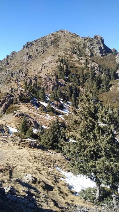 壁照山