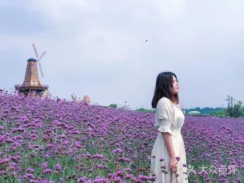 谷里薰衣草庄园