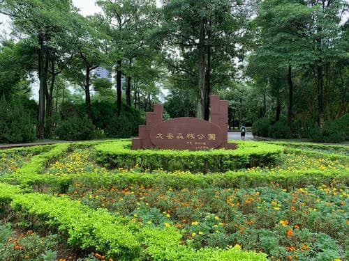 大安森林公园
