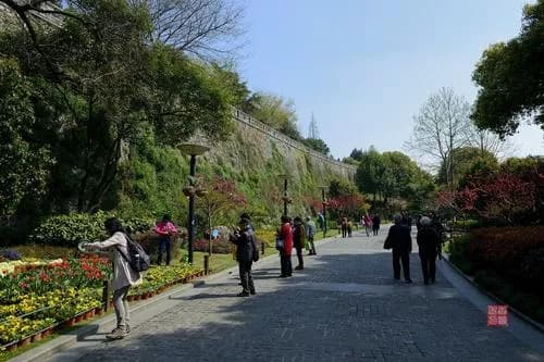 小桃园公园